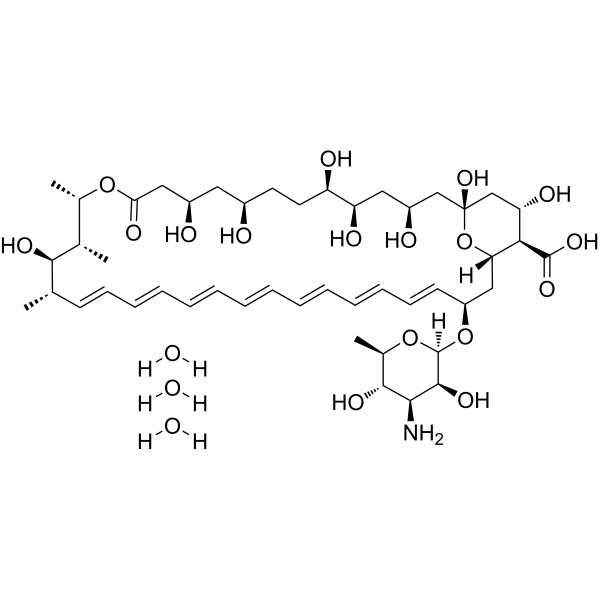 Amphotericin B trihydrate