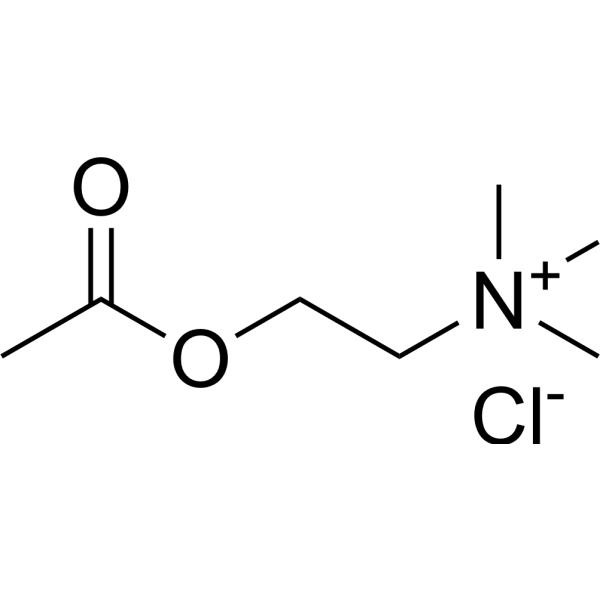 Acetylcholine chloride (Standard)