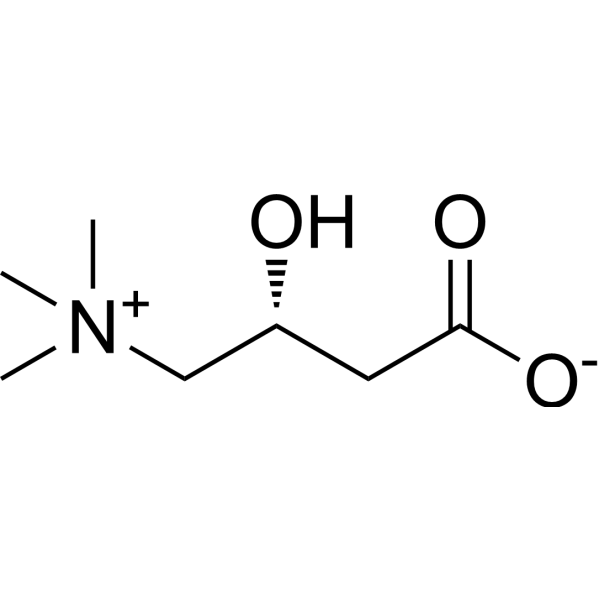 L-Carnitine