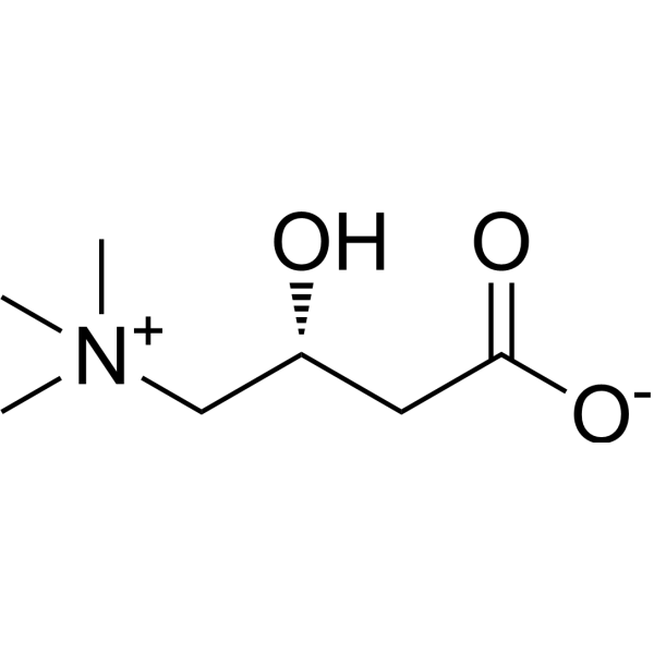 L-Carnitine (Standard)