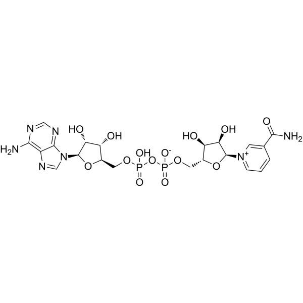 α-NAD