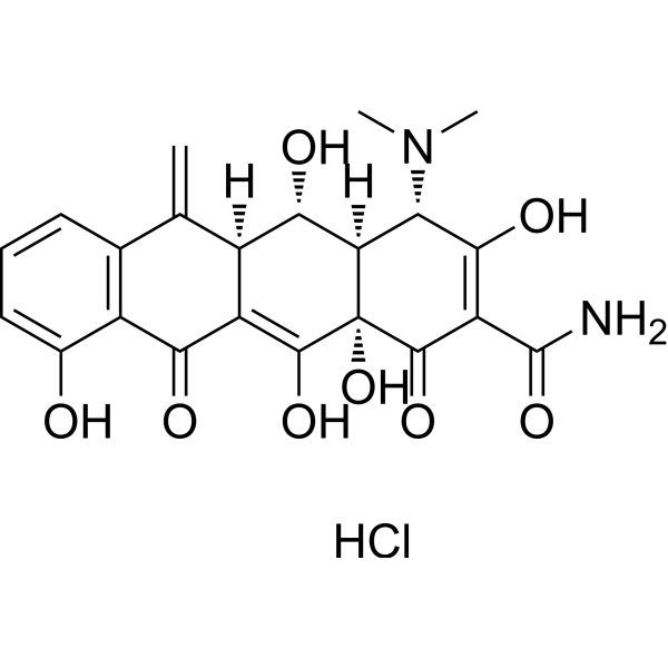Methacycline hydrochloride
