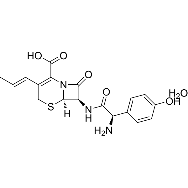 Cefprozil monohydrate (Standard)