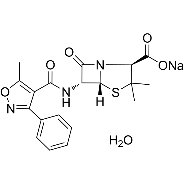 Oxacillin sodium monohydrate (Standard)