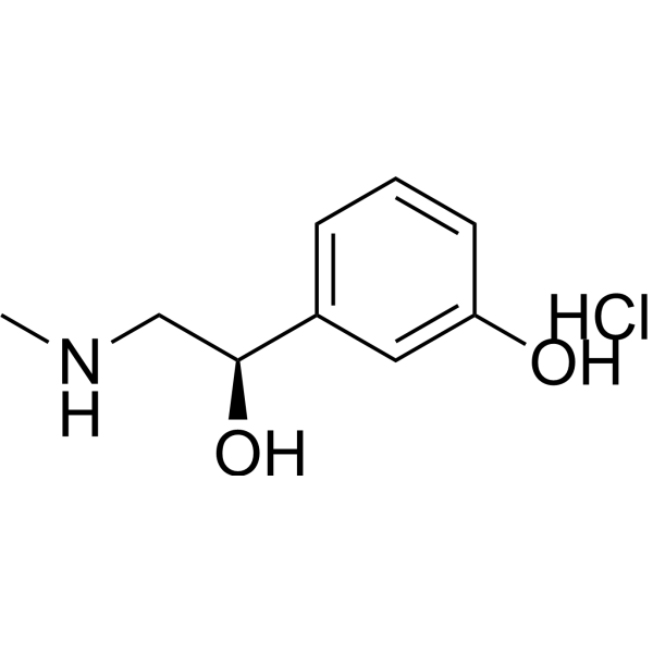 Phenylephrine hydrochloride (Standard)