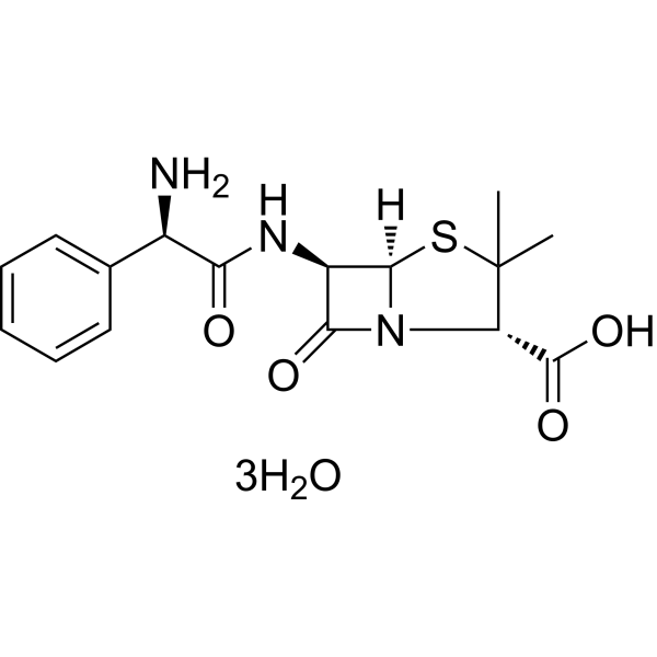 Ampicillin trihydrate