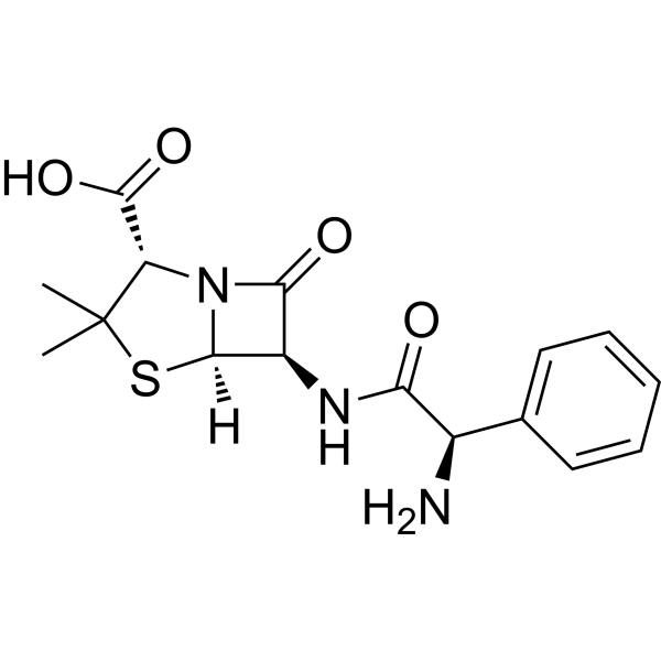 Ampicillin (Standard)