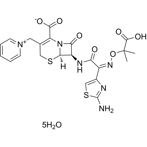Ceftazidime pentahydrate