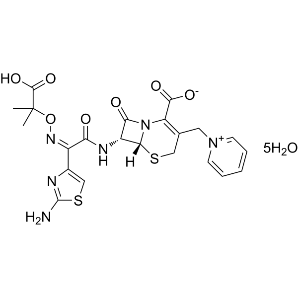 Ceftazidime pentahydrate (Standard)