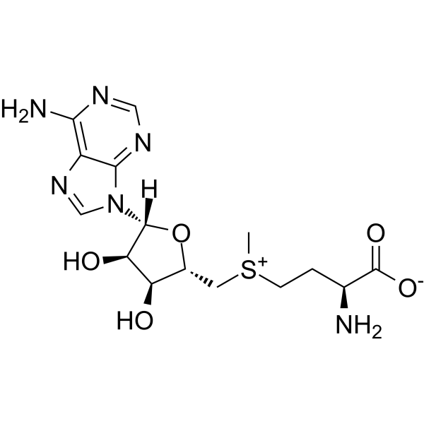 S-Adenosyl-L-methionine