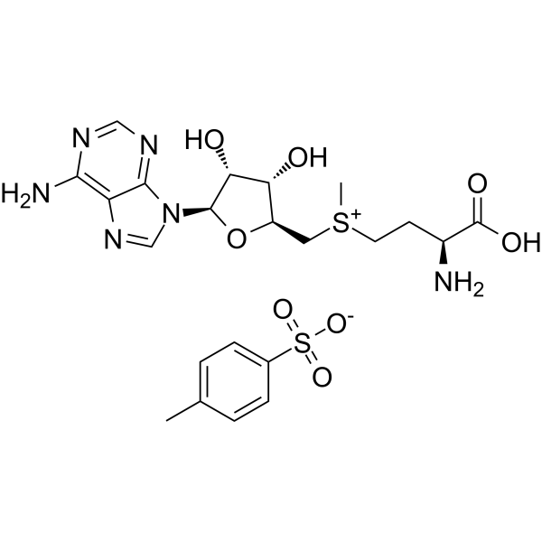 S-Adenosyl-L-methionine tosylate
