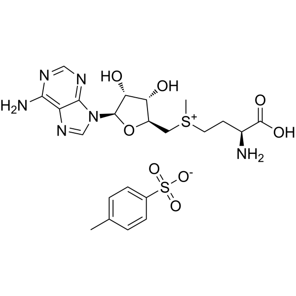 S-Adenosyl-L-methionine tosylate (Standard)