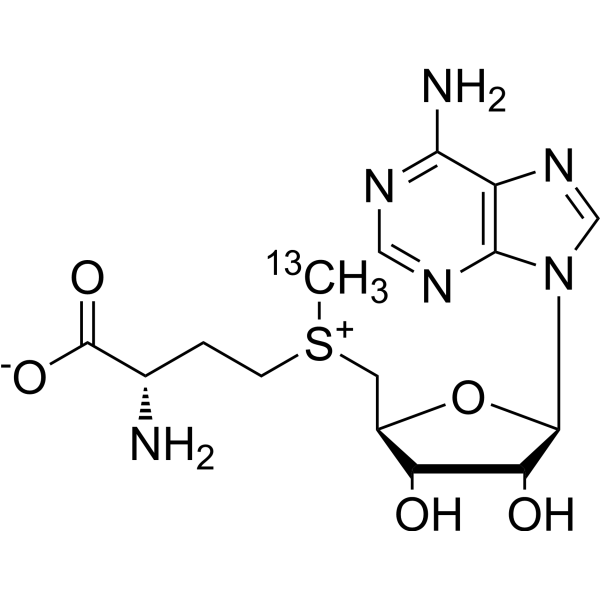 S-Adenosyl-L-methionine-13C