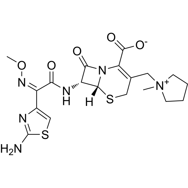 Cefepime (Standard)