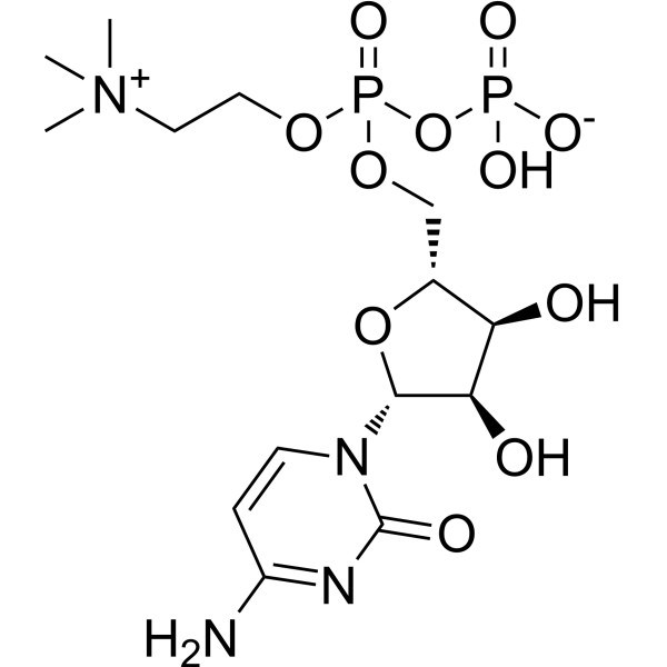 Citicoline (Standard)