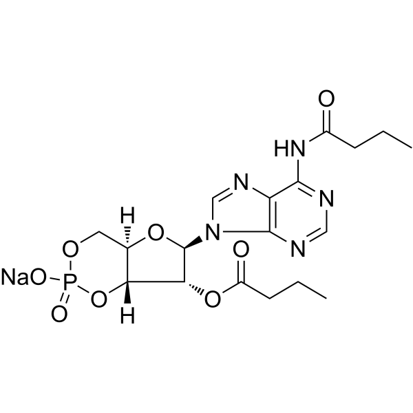 Bucladesine sodium