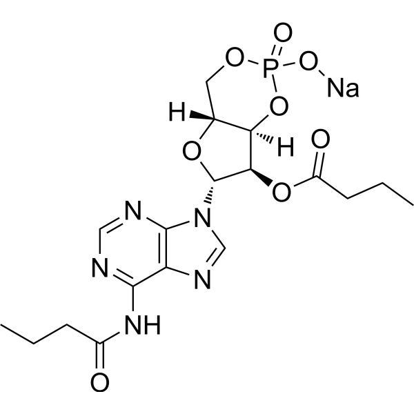 Bucladesine sodium (Standard)
