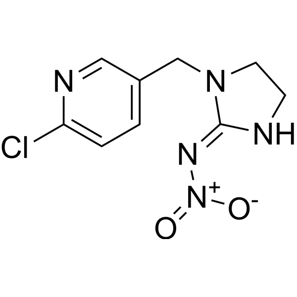 Imidacloprid (Standard)