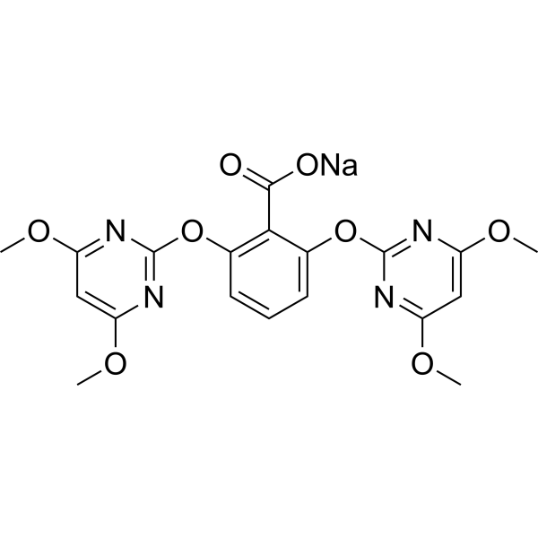 Bispyribac sodium (Standard)