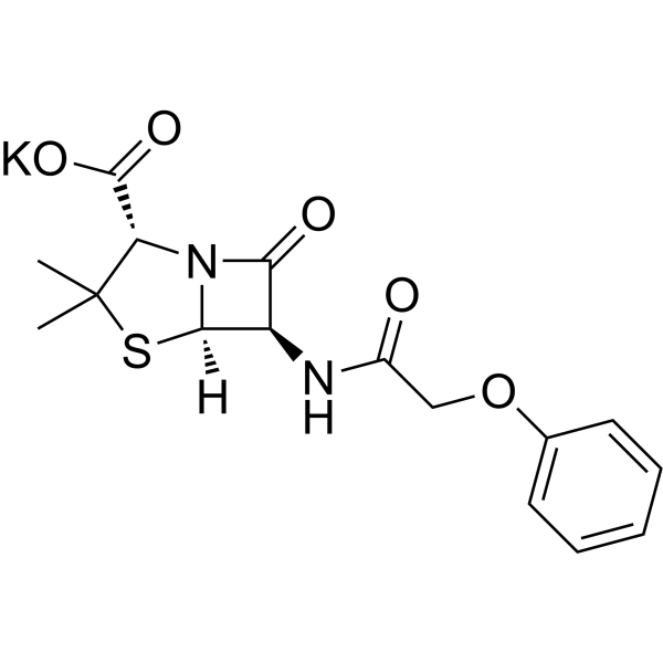 Penicillin V Potassium