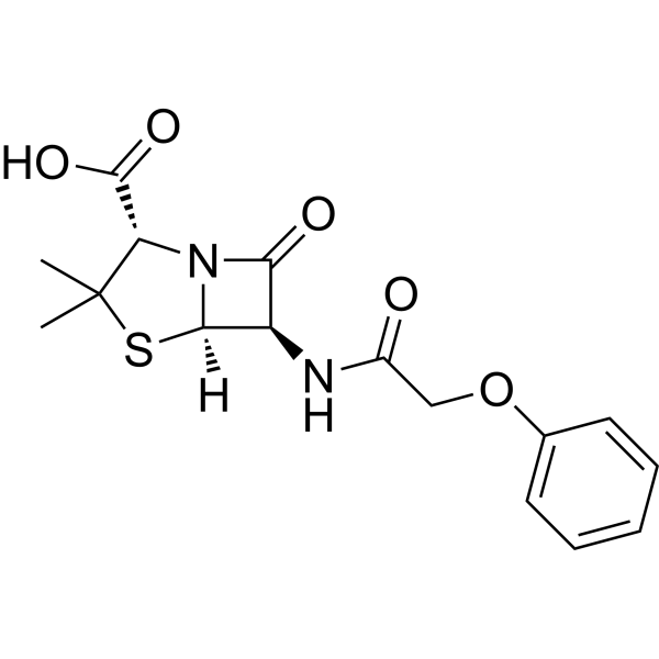 Penicillin V