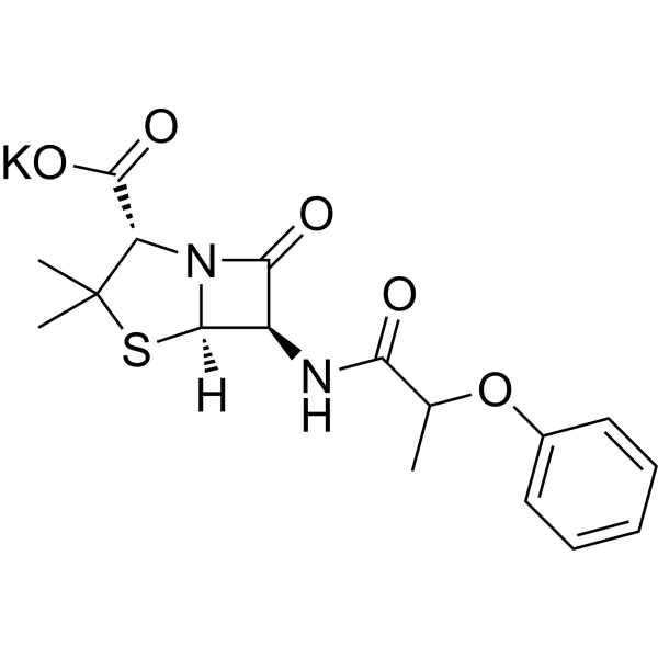 Phenethicillin potassium