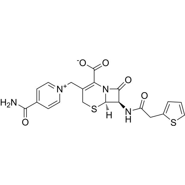 Cefalonium (Standard)