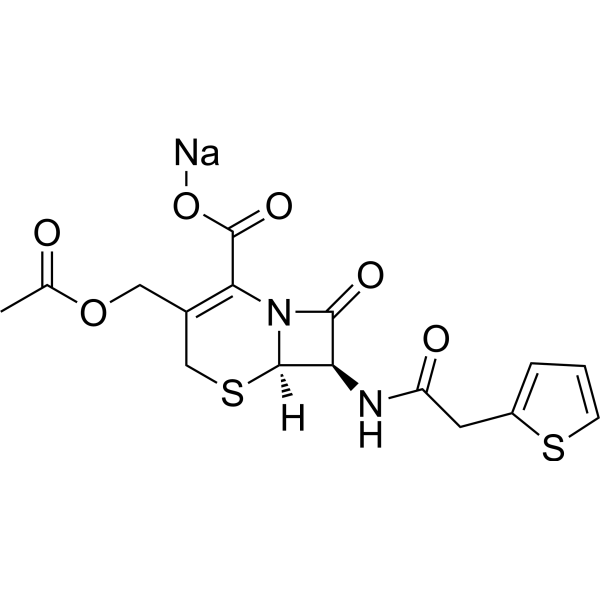 Cephalothin sodium (Standard)