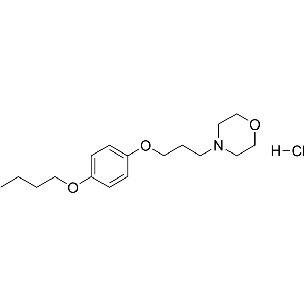 Pramocaine hydrochloride (Standard)