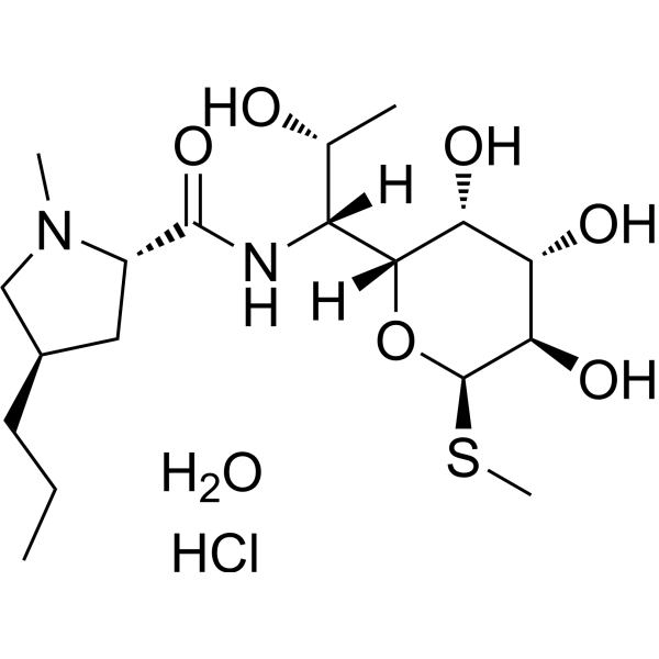 Lincomycin hydrochloride monohydrate (Standard)