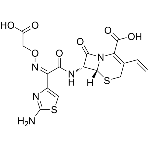 Cefixime (Standard)