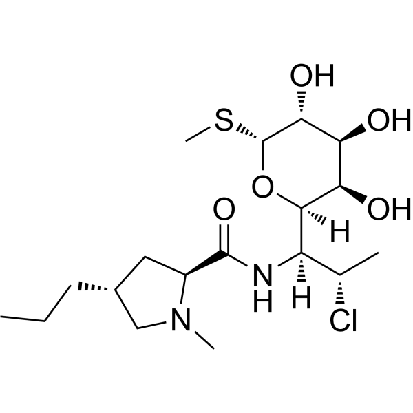Clindamycin (Standard)