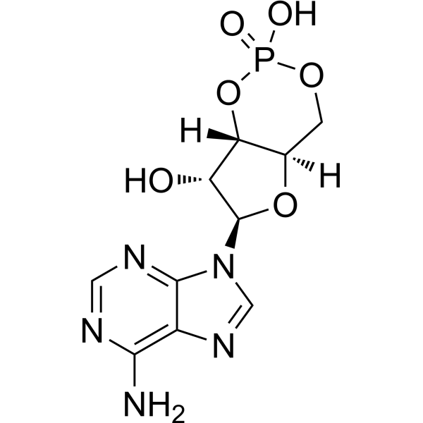 Cyclic AMP (Standard)