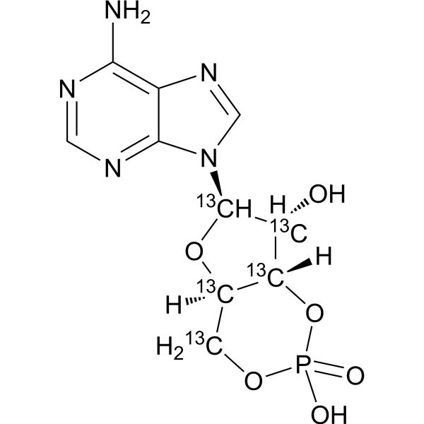 Cyclic AMP-13C5