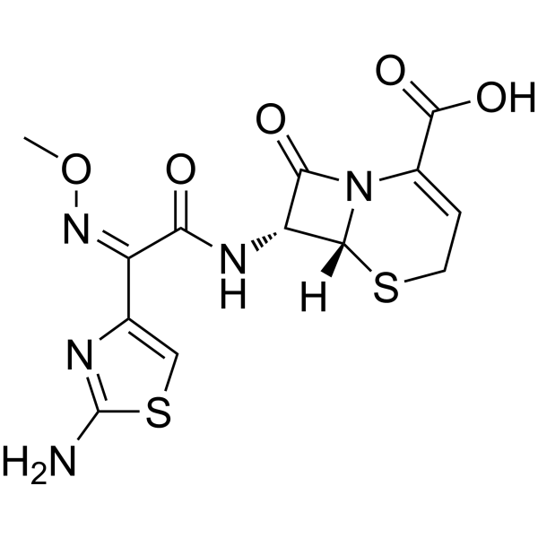 Ceftizoxime (Standard)