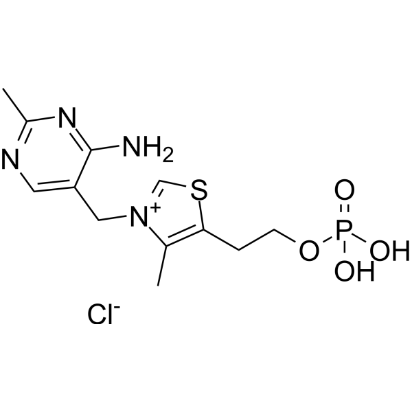 Vitamin B1 monophosphate chloride