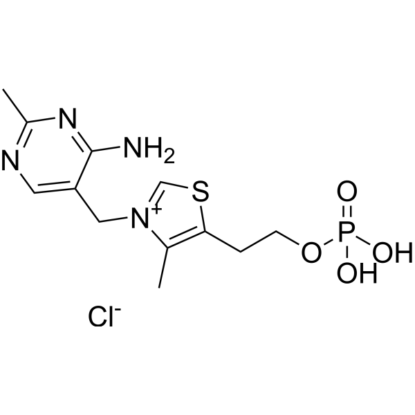Vitamin B1 monophosphate chloride (Standard)