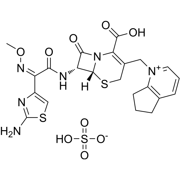 Cefpirome sulfate (Standard)