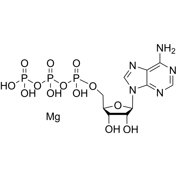 ATP magnesium
