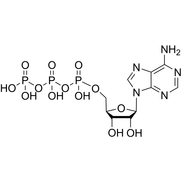 ATP (Standard)