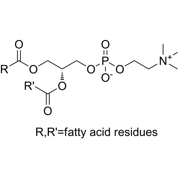 L-α-Lecithin (soybean)