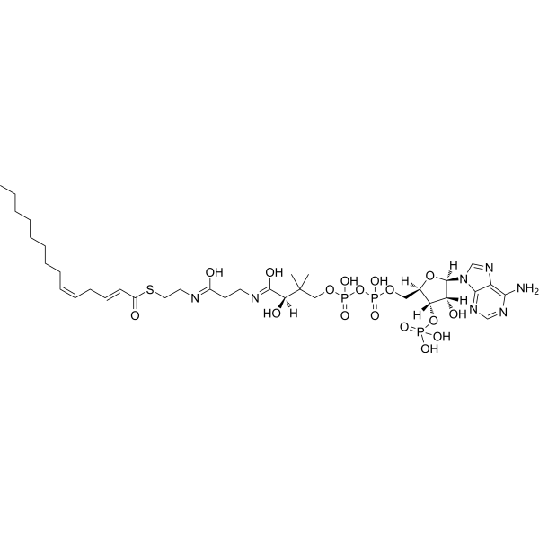 (2E,5Z)-Tetradecadienoyl-CoA