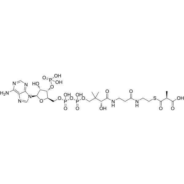 (2S)-Methylmalonyl-CoA
