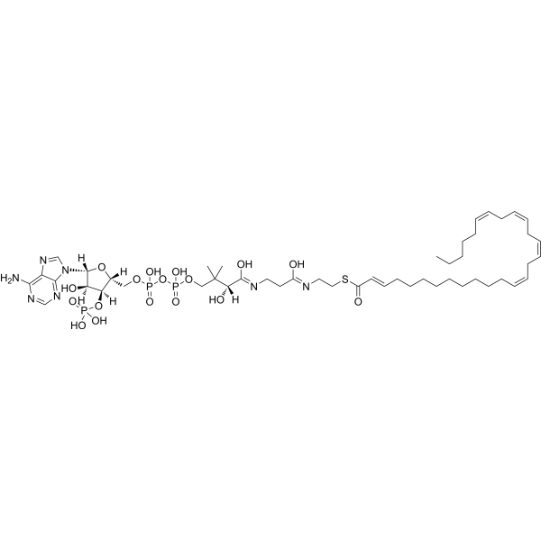 (2E,13Z,16Z,19Z,22Z)-Octacosapentaenoyl-CoA