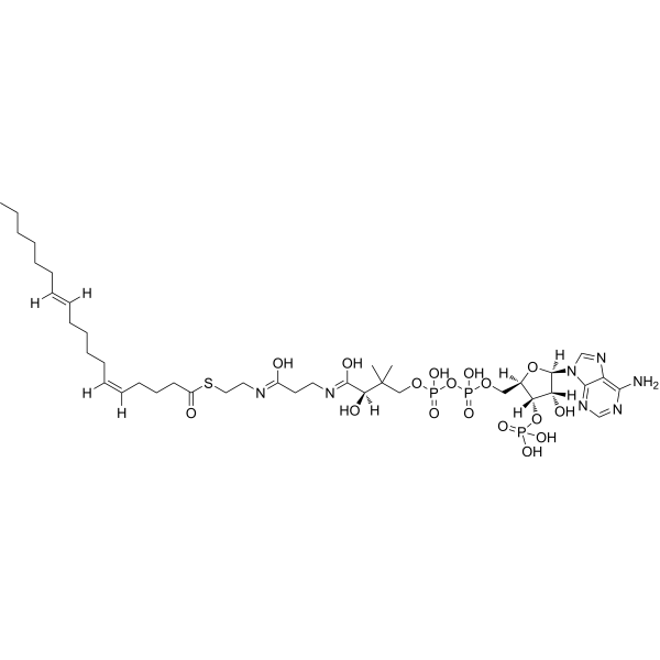(5Z,11E)-Octadecadienoyl-CoA