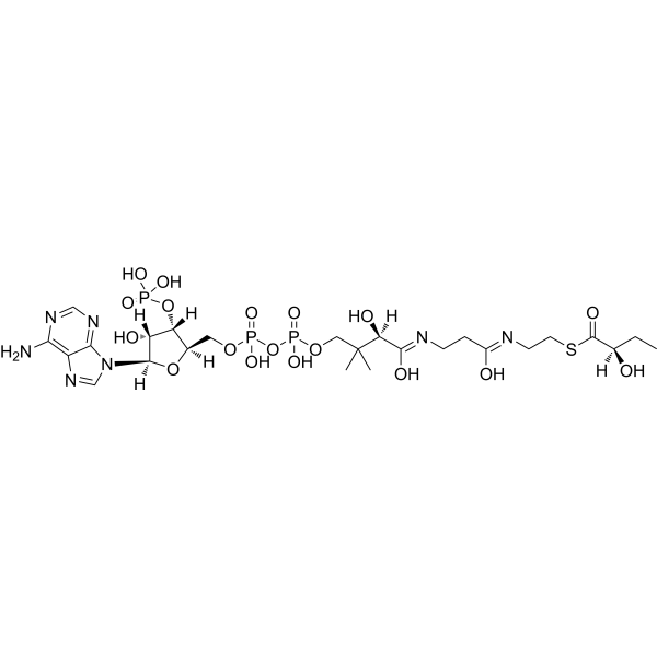 (R)-2-Hydroxybutanoyl-CoA