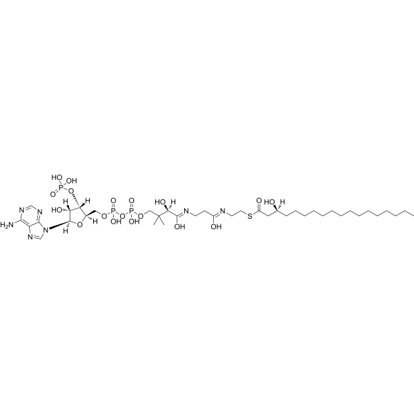 (S)-3-Hydroxyoctadecanoyl-CoA