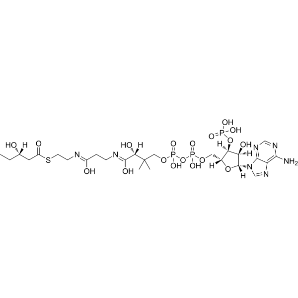 (S)-3-Hydroxypentanoyl-CoA