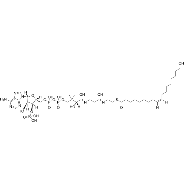 18-Hydroxyoleoyl-CoA