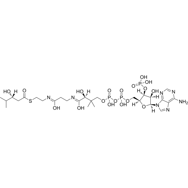 3(S)-Hydroxy-4-methyl-pentanoyl-CoA